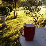 Casa Vieja Del Sastre Hotel