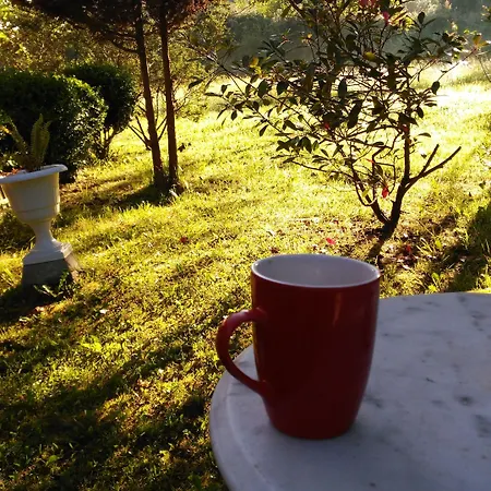 Casa Vieja Del Sastre Hotel