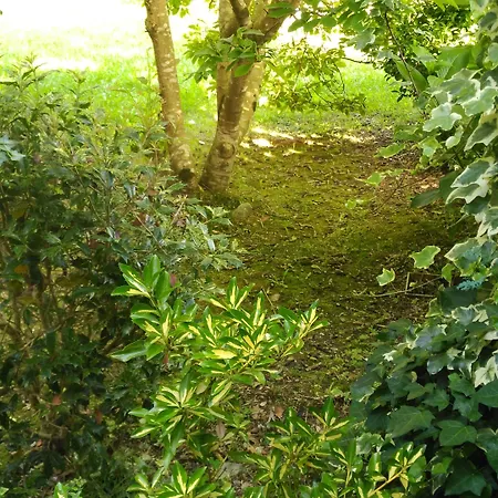 Casa Vieja Del Sastre 3* Soto de Luina