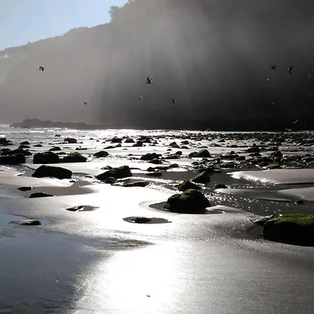 Casa Vieja Del Sastre Soto de Luina