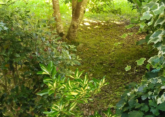 Casa Vieja Del Sastre 3* Soto de Luiña