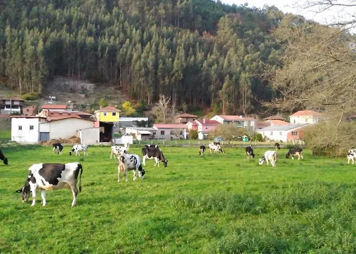 Casa Vieja Del Sastre 3* Soto de Luiña