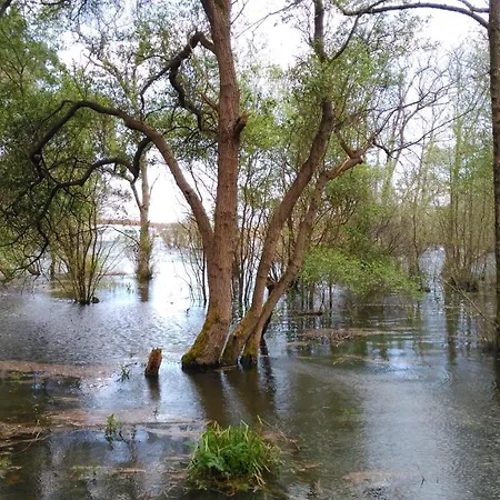 Casa Vieja Del Sastre Hotell